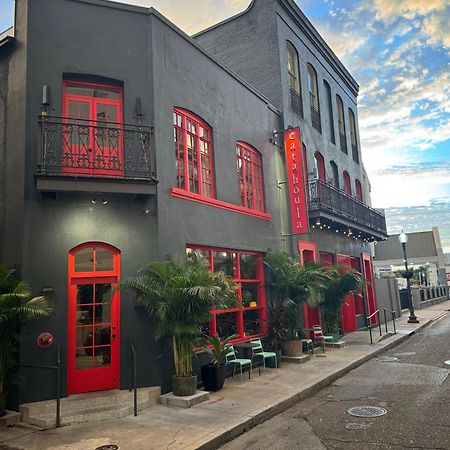 Catahoula Hotel New Orleans Exteriér fotografie
